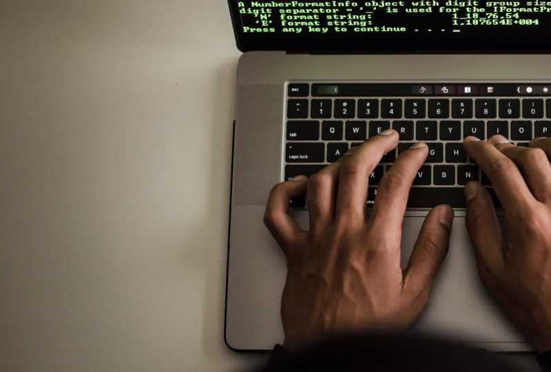 New WordPress Vulnerabilities: why maintenance matters